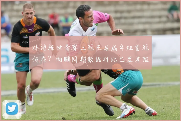 林诗栋世青赛三冠王后成年组首冠何在？向鹏同期数据对比已显差距